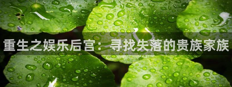 长征娱乐：重生之娱乐后宫：寻找失落的贵族家族