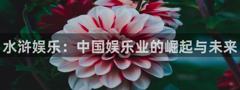 长征娱乐登录：水浒娱乐：中国娱乐业的崛起与未来