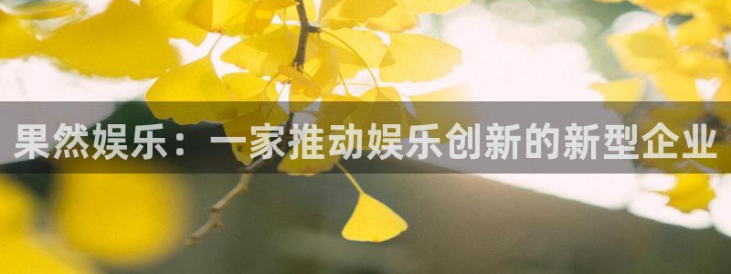长征娱乐主管：果然娱乐：一家推动娱乐创新的新型企业