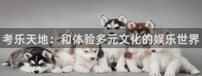 长征娱乐主管：考乐天地：和体验多元文化的娱乐世界