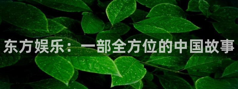 长征娱乐平台注册：东方娱乐：一部全方位的中国故事