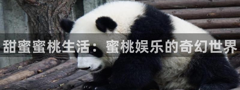 长征娱乐登录：甜蜜蜜桃生活：蜜桃娱乐的奇幻世界