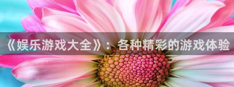 长征娱乐：《娱乐游戏大全》：各种精彩的游戏体验