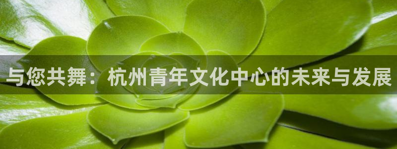 长征娱乐平台：与您共舞：杭州青年文化中心的未来与发展